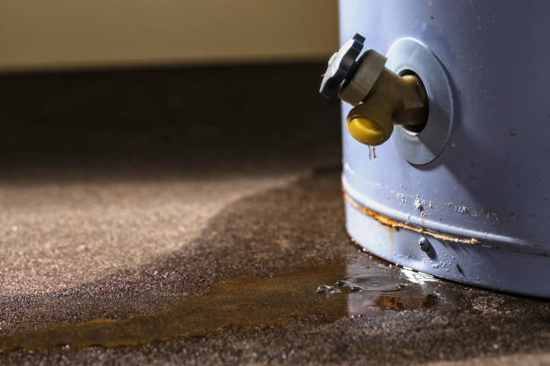  Crestwood Village, NJ Water damage restoration Pros