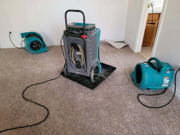 Best Fire Damage Restoration  in Crestwood Village, NJ