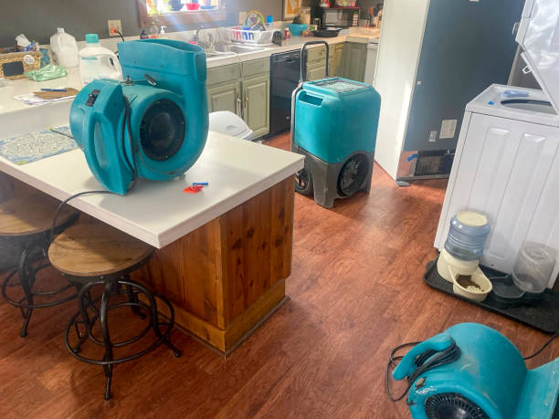 Best Water damage contractors near me  in Crestwood Village, NJ