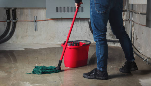 Best Carpet water damage restoration  in Crestwood Village, NJ