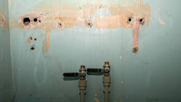 Best Water damage restoration services  in Crestwood Village, NJ