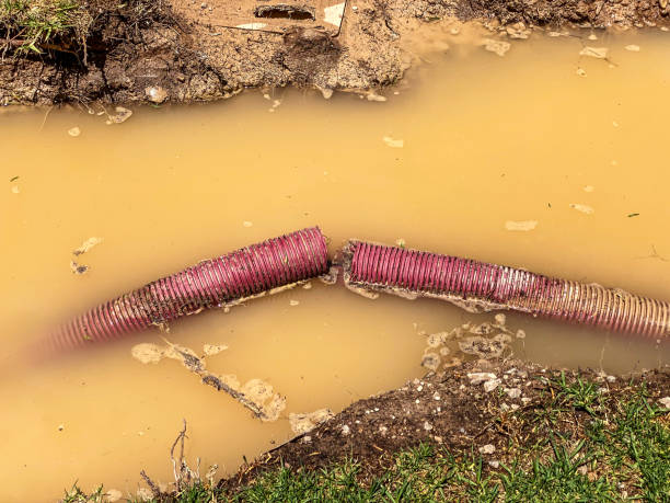 Best Water damage restoration near me  in Crestwood Village, NJ