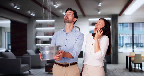 Best Professional water damage repair  in Crestwood Village, NJ
