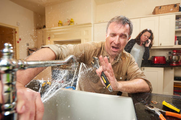 Best Mold removal after water damage  in Crestwood Village, NJ
